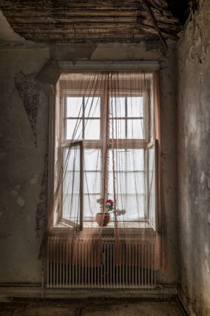 3603_Dorthe Jakobsen_Abandoned_Windows_II